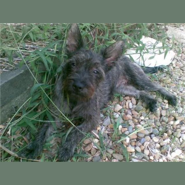 Photo of Tilly