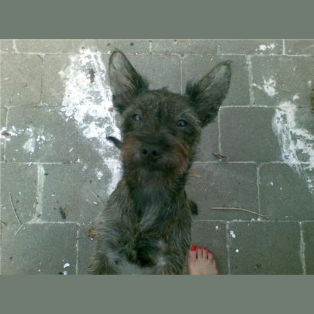 Photo of Tilly