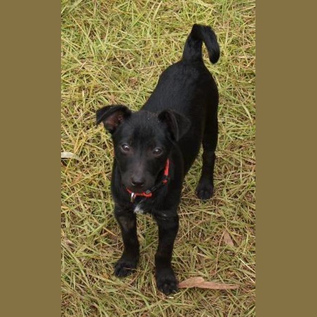 Photo of Wilbur
