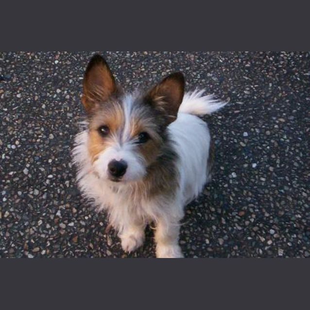 Photo of Max