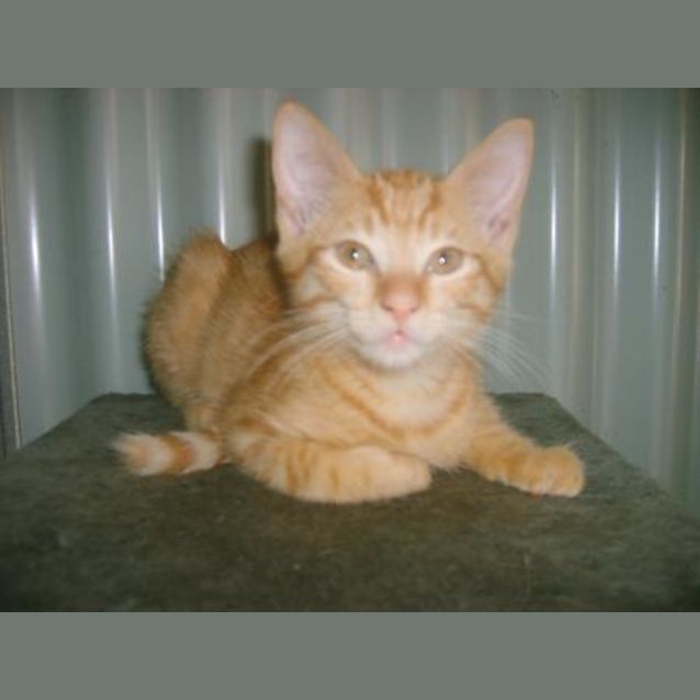 Photo of Clarence