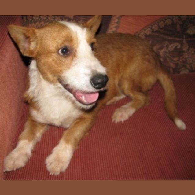Photo of Wallace