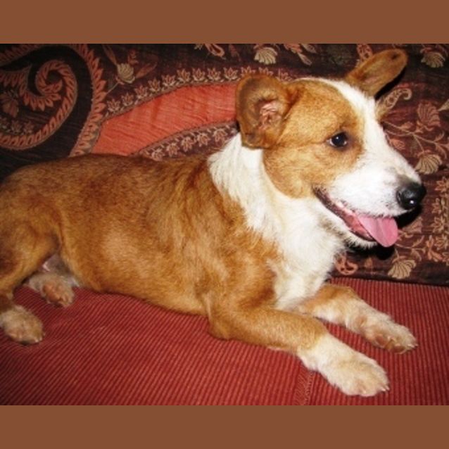 Photo of Wallace