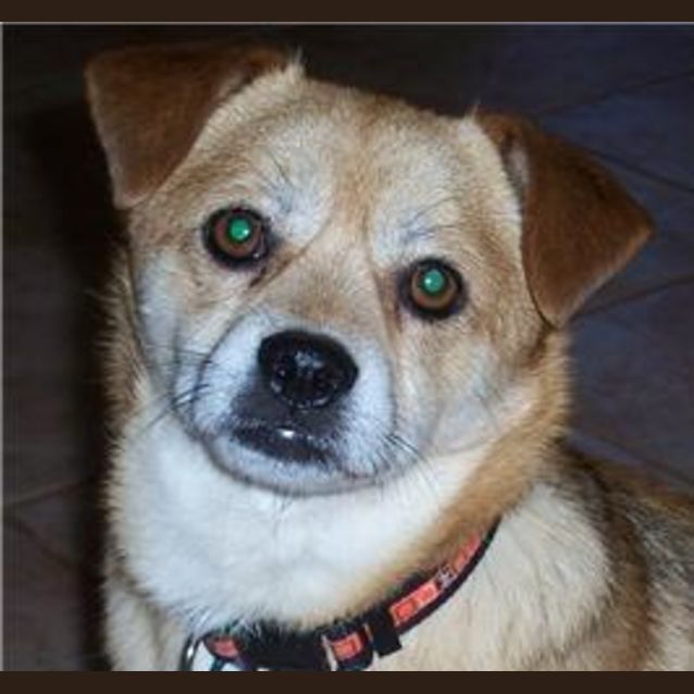 Photo of Reggie