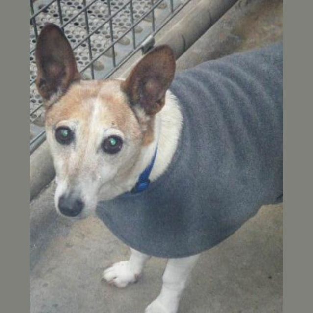 Photo of Patch