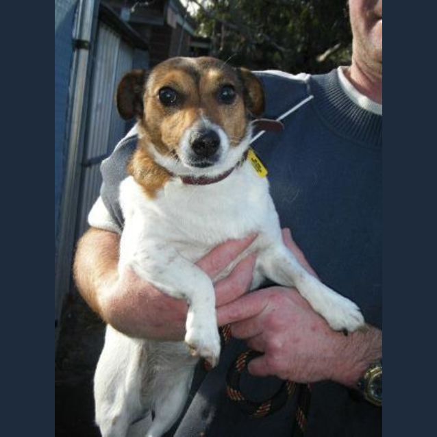 Photo of Bonnie