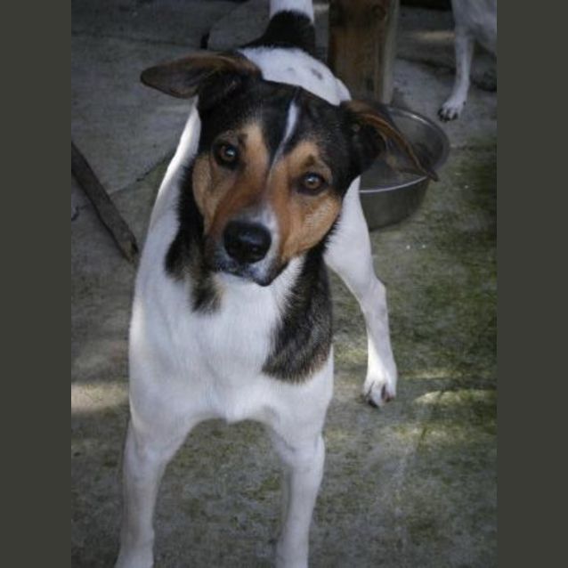 Photo of Holly