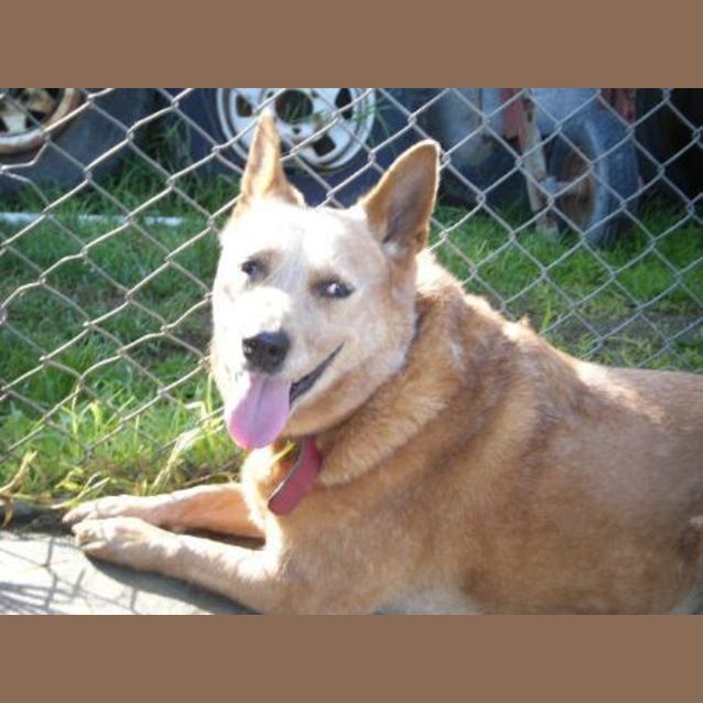 Photo of Missy