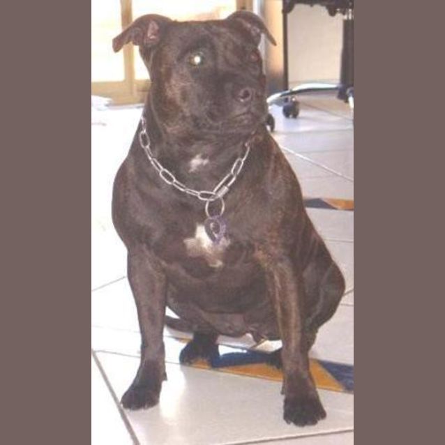 Photo of Jessie