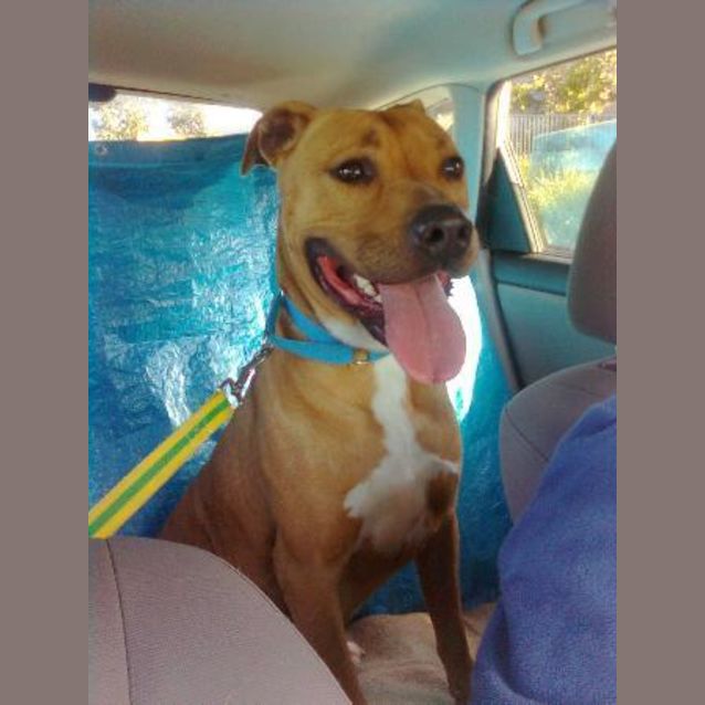 Photo of Baxter
