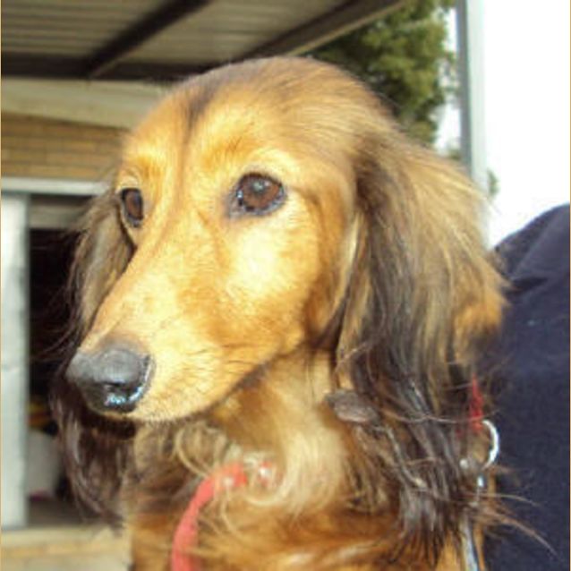 Photo of Angel