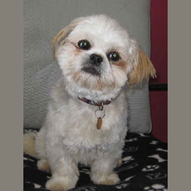 Photo of Jazz