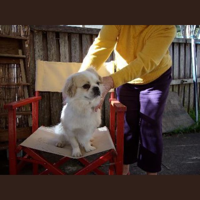 Photo of Whisky