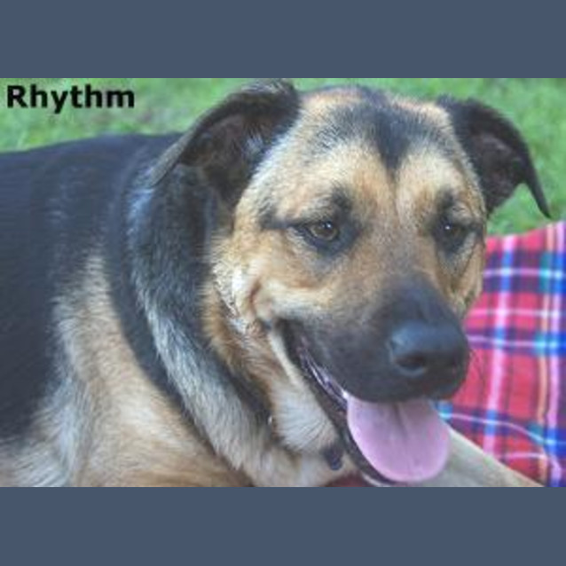 Photo of Rhythm & Blues