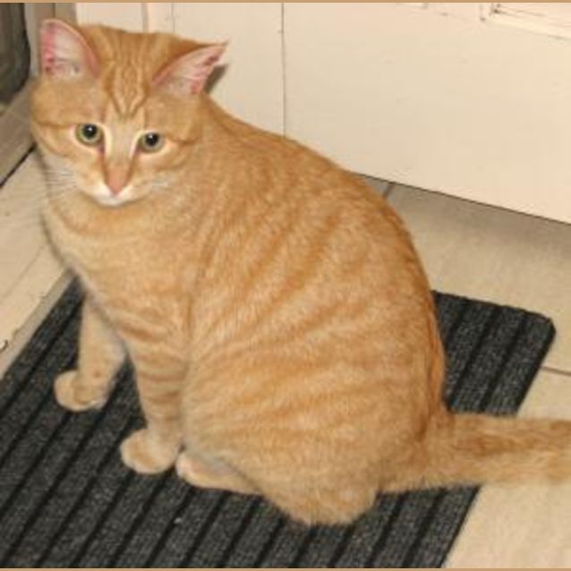 Photo of Tom