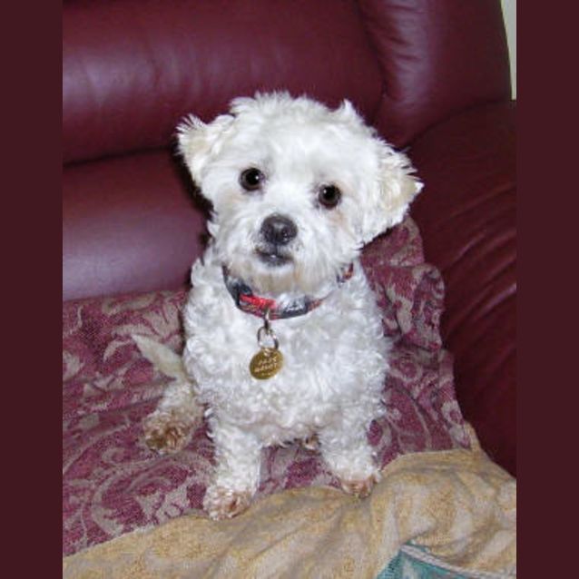 Photo of Matilda