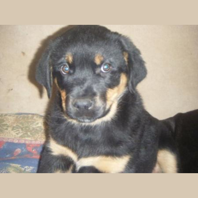 Photo of Aliza