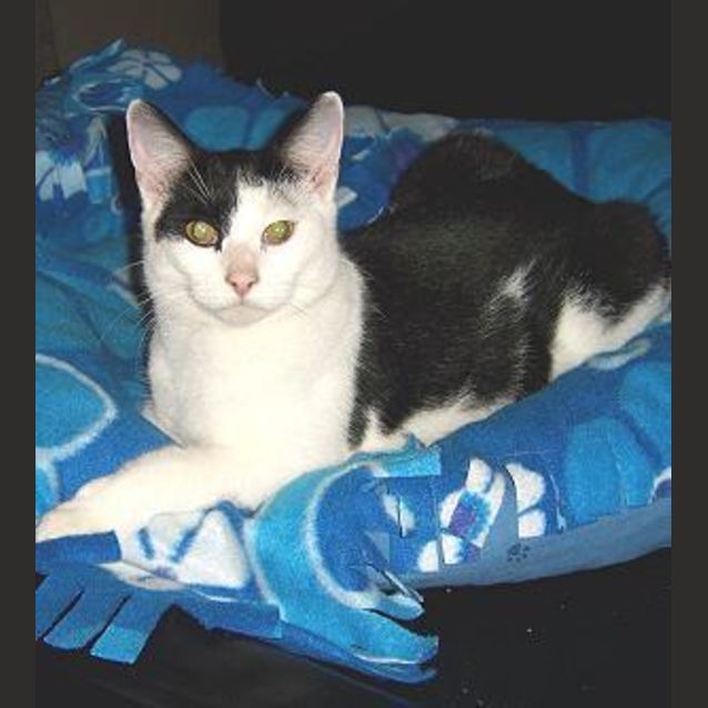 Photo of Charlie