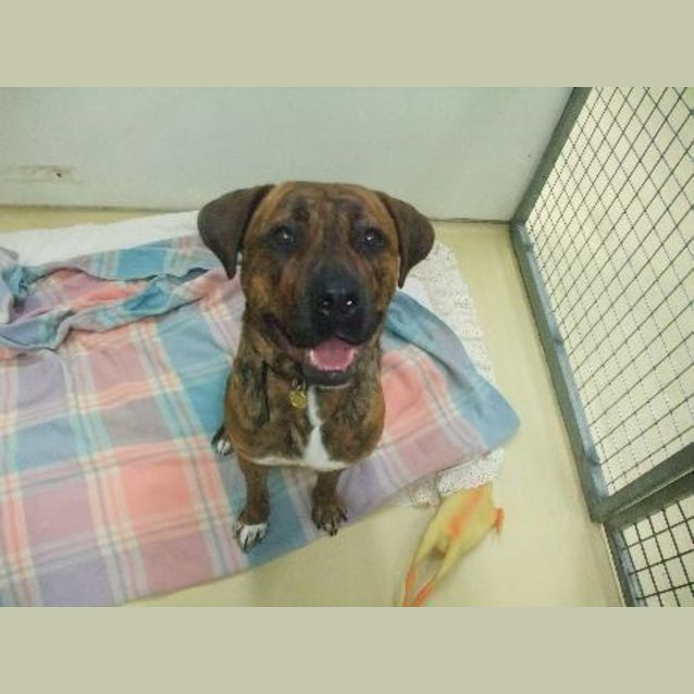 Photo of Nina   A4957