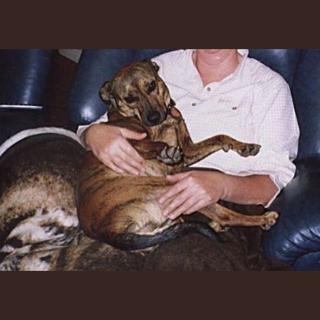 Photo of Toohey