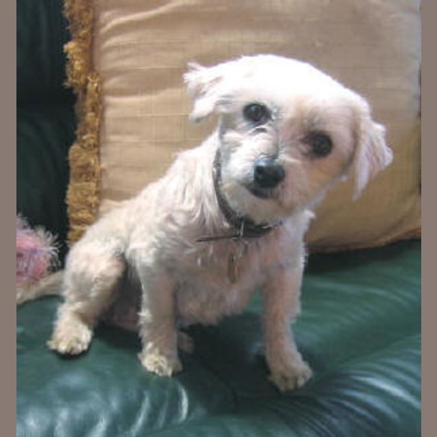 Photo of Pixy