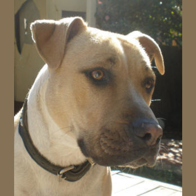 Photo of Kingston Is Trying A New Home!!