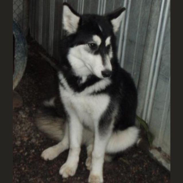 Photo of Evie