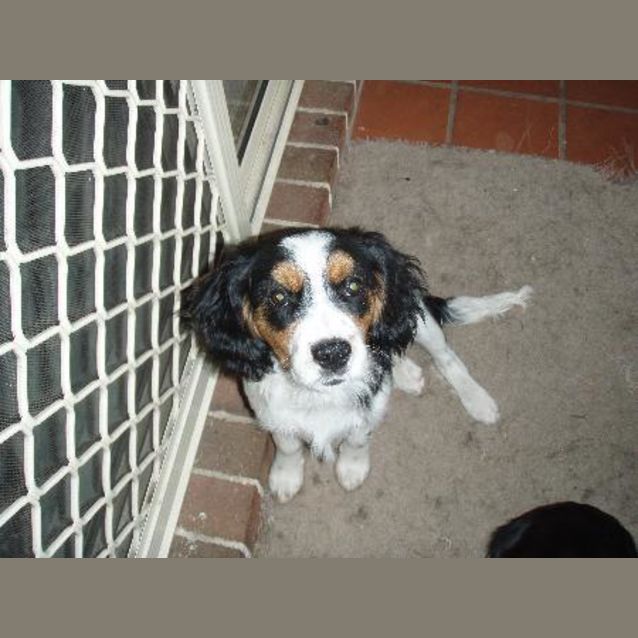 Photo of Barclay