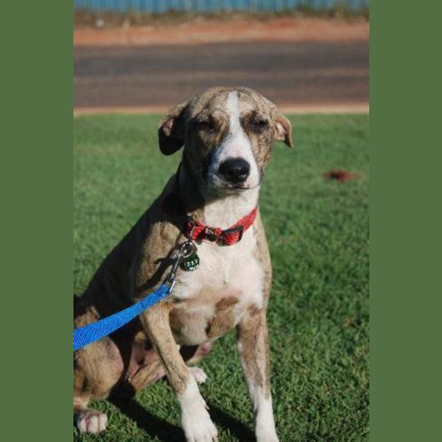 Photo of Marcie