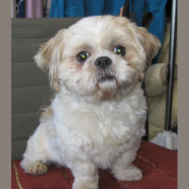 Photo of Fletcher