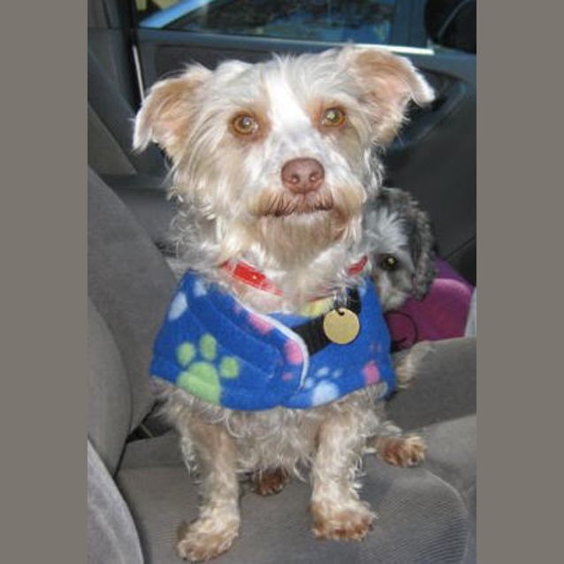 Photo of Emily Rose