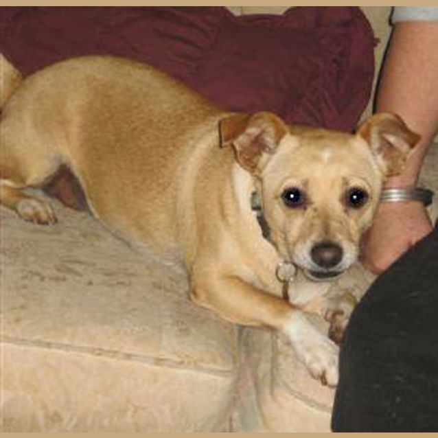 Photo of Cho Cho