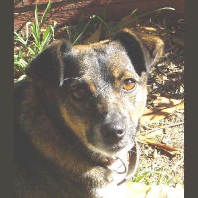 Photo of Ruby