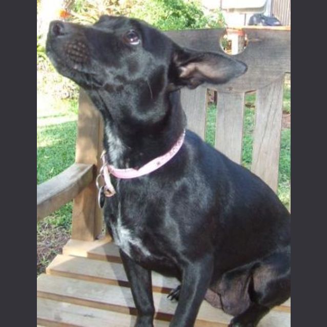 Photo of Tilly