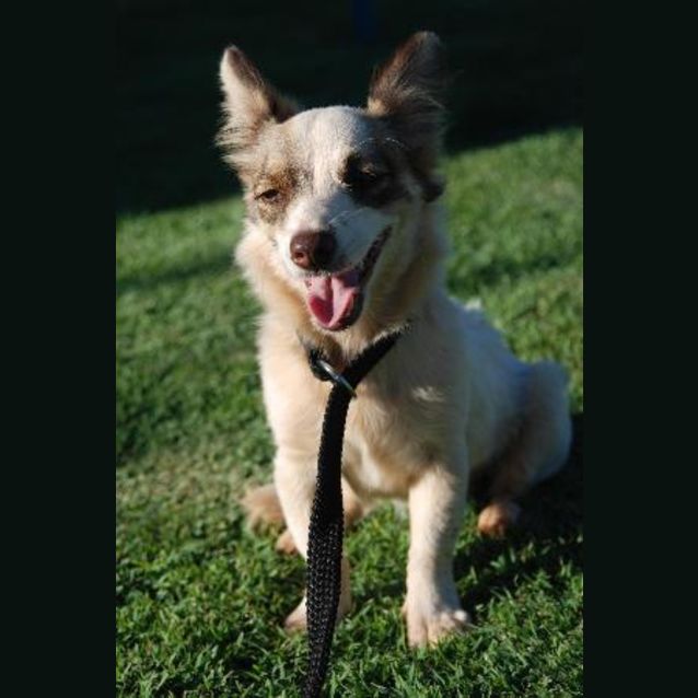 Photo of Misha