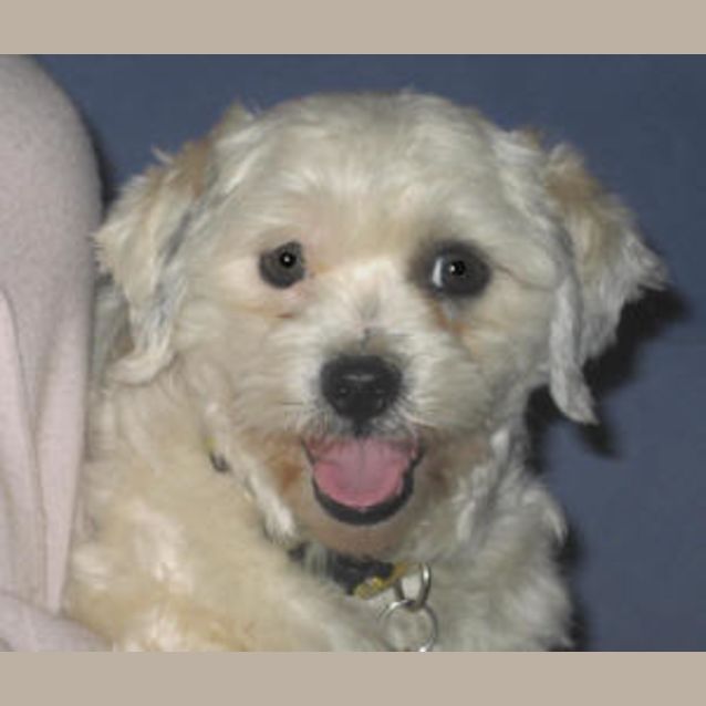 Photo of Wiggle