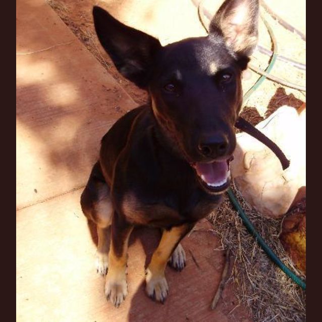 Photo of Maggie