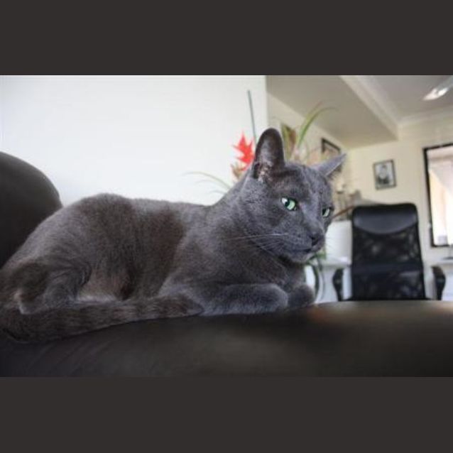 Photo of Gus