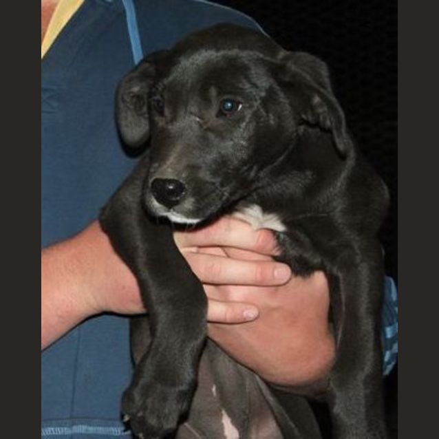 Photo of Louise Adopted