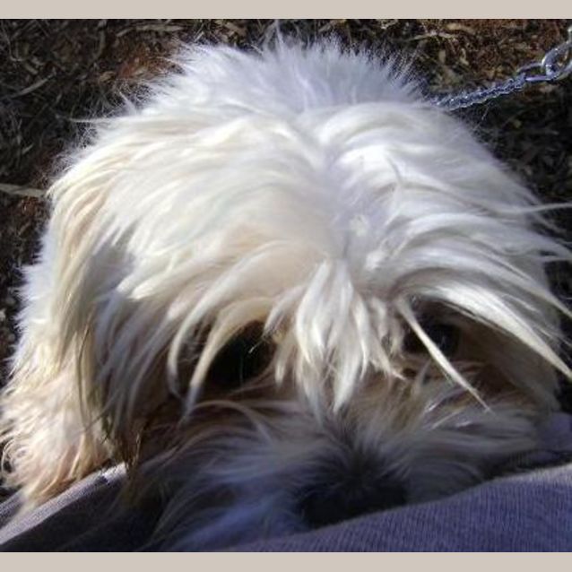 Photo of Carolyn
