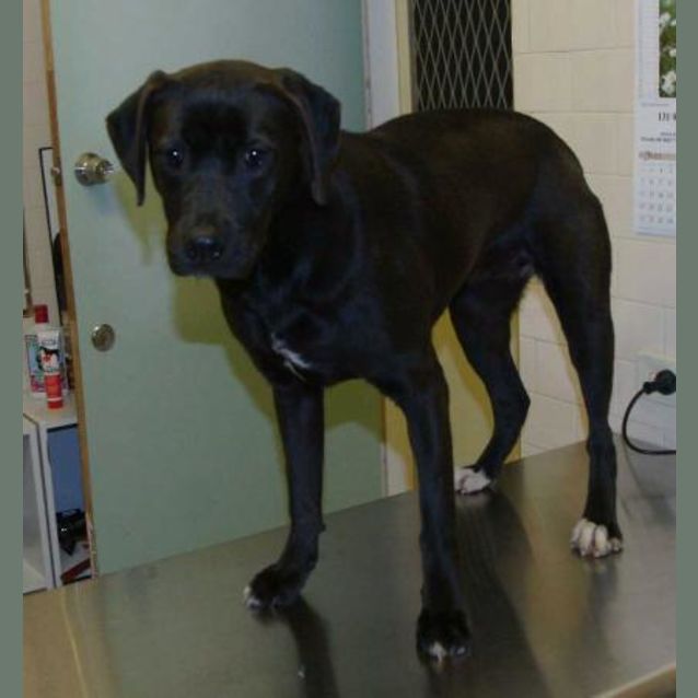 Photo of Charmer
