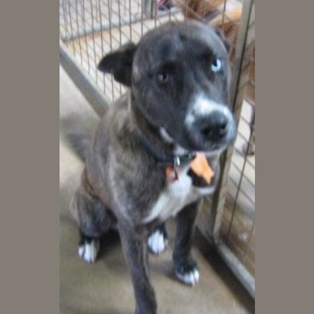Photo of Busta