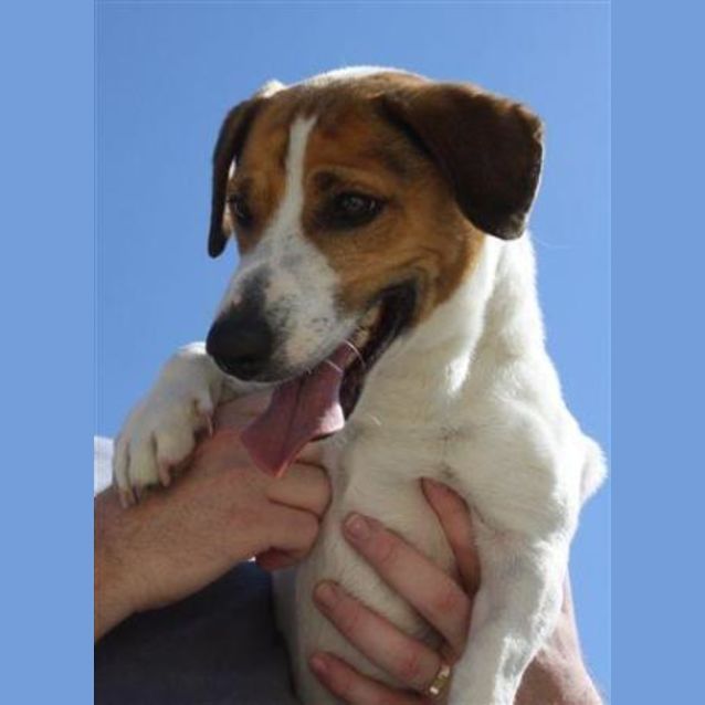Photo of Archer