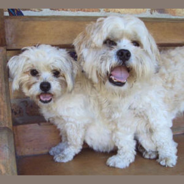 Photo of Buster & Maxelle