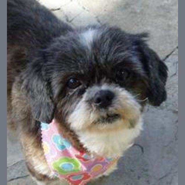 Photo of Steffie (And Toby)