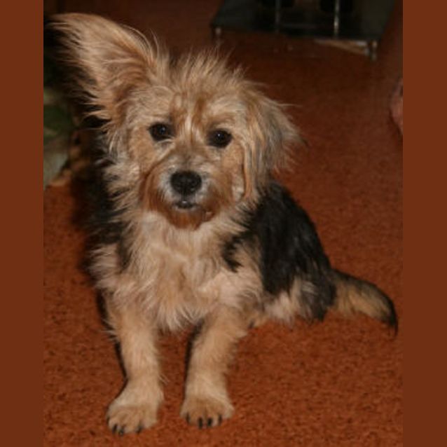 Photo of Fluff