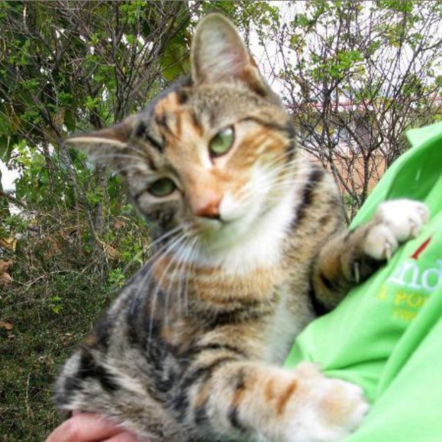 Photo of Princess Mippy