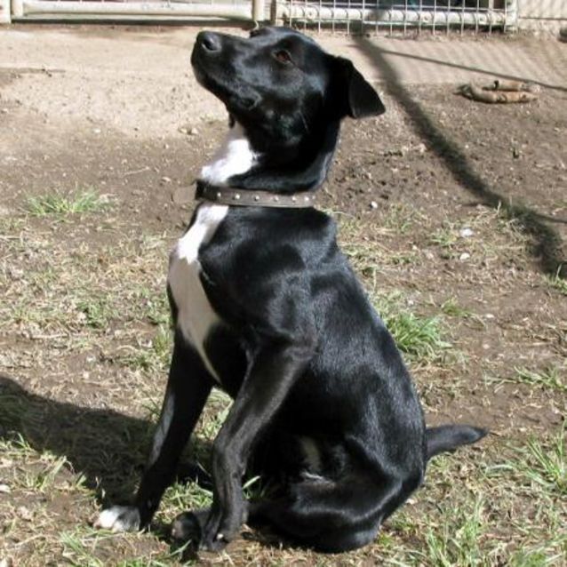 Photo of Missy