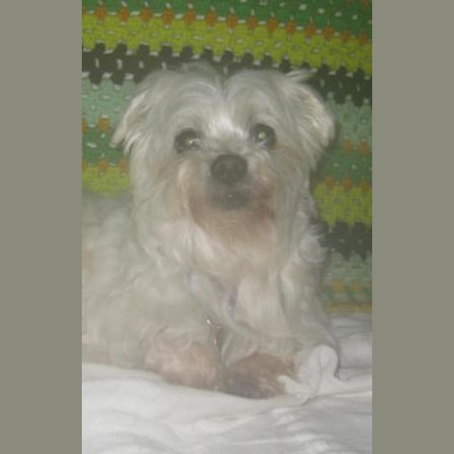 Photo of Odette