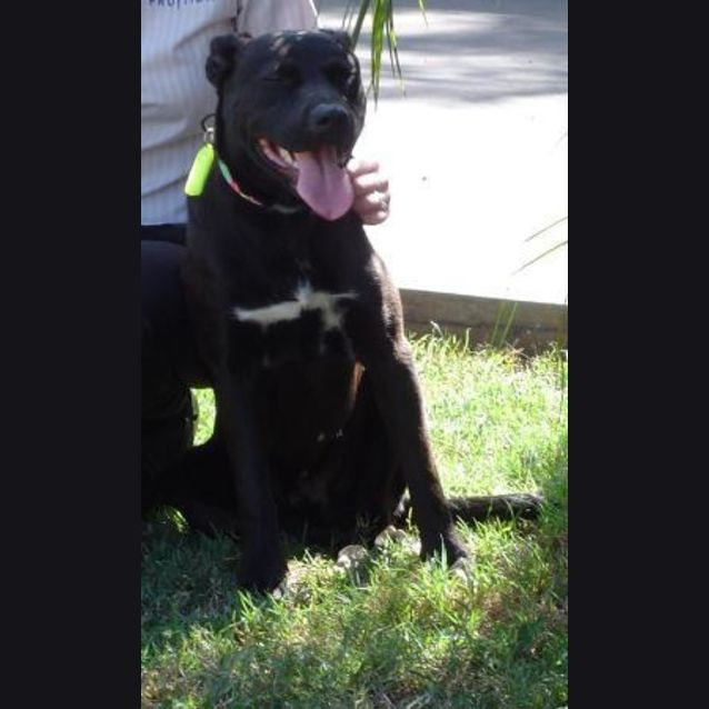Photo of Jet